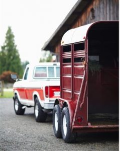 USRider – Providing Comprehensive Roadside Assistance with Horse Care in Mind